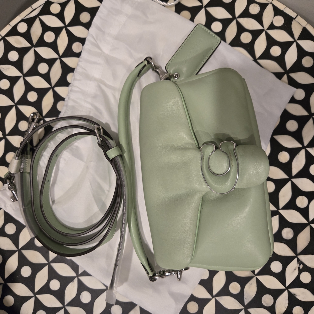 Coach Pillow Tabby 18 Pistashio